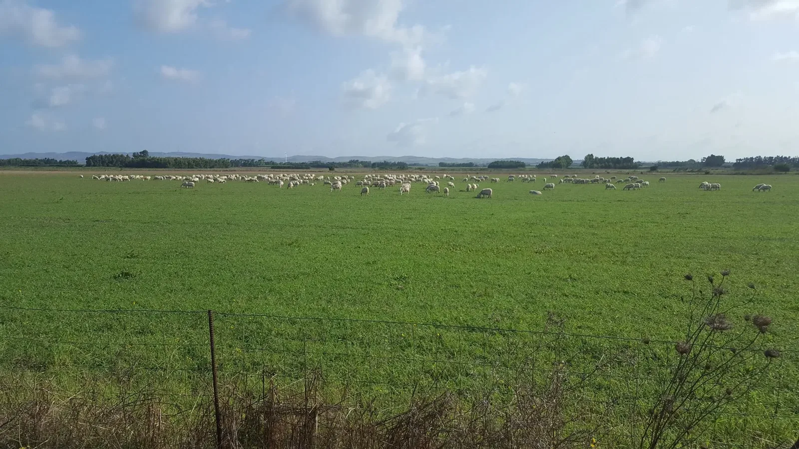 I campi dell'azienda