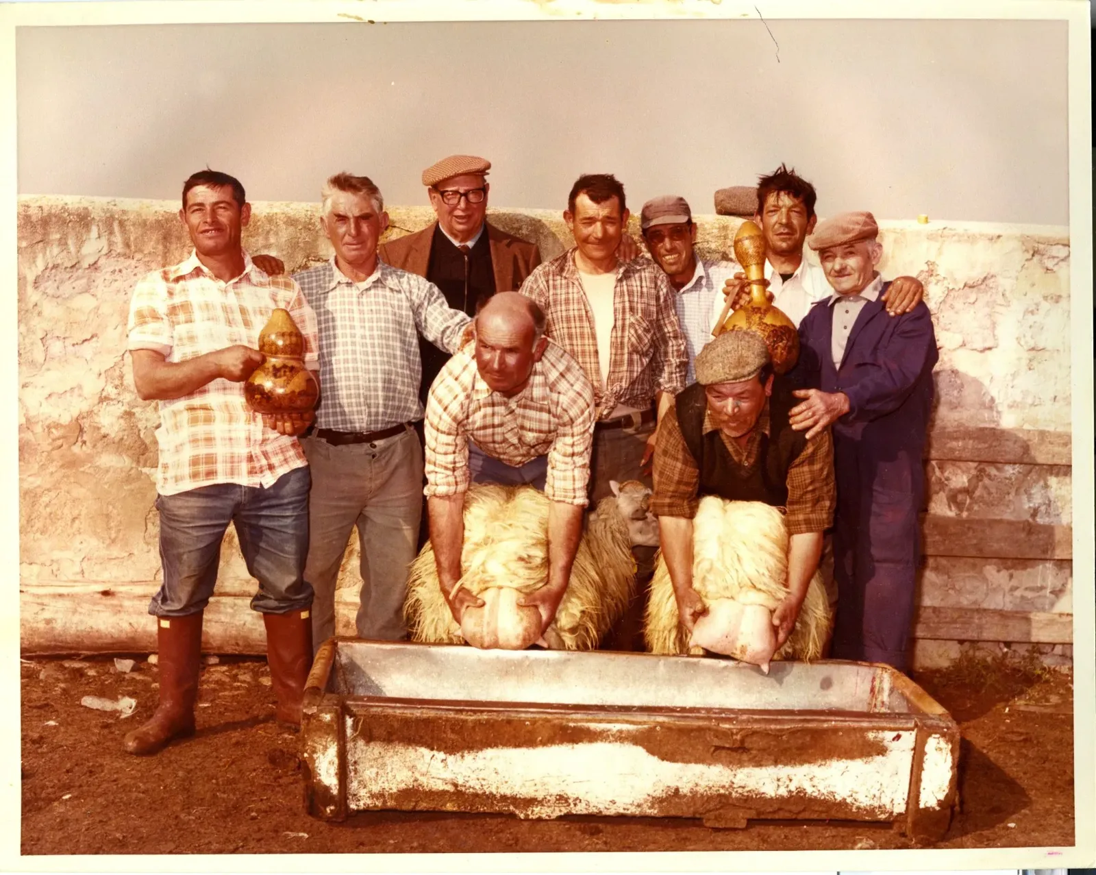 Mungitura (fine anni '60)