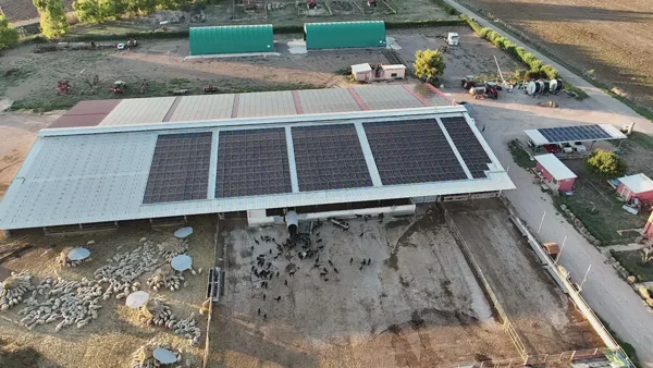 Vista stalle dal drone