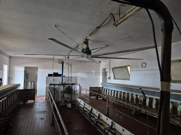 Sala mungitura